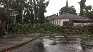 FOTO // FURTUNA din această după-amiază a doborât copaci în Chişinău, a inundat şi a blocat străzi