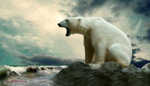 Polul Nord va ajunge în Europa: Cele mai neaşteptate efecte ale schimbărilor climatice