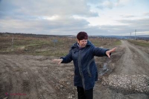 EXEMPLU // Femeia din R. Moldova care a transformat o GUNOIȘTE într-o PĂDURE
