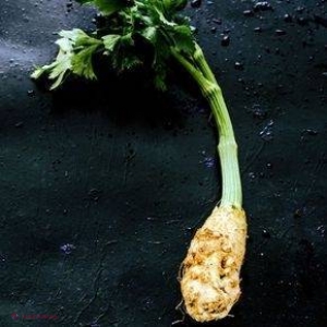 UTIL // Ţelina şi beneficiile acestei legume arhicunoscute