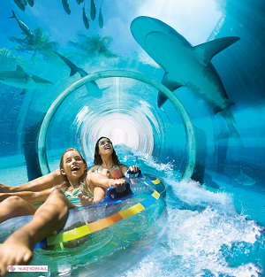 Distracţie înspăimântătoare: Parcul în care turiştii alunecă printr-un tunel înconjurat de rechini