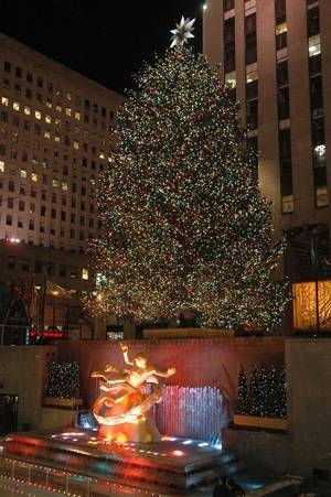 FOTO // Top - Cei mai frumoşi BRAZI de Crăciun din lume