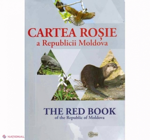 CURIOS // Păsări din R. Moldova, incluse în Cartea Roșie Europeană