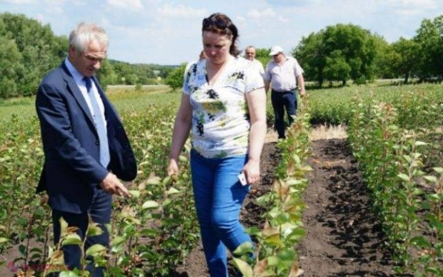 „Rosselhoznadzor”: 18 agenți economici din R. Moldova au fost admiși să-și exporte produsele în Federația Rusă 