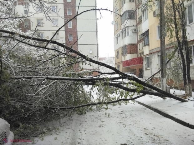 METEO // Ninsoarea NU se lasă: Câte zile va mai ninge în R. Moldova