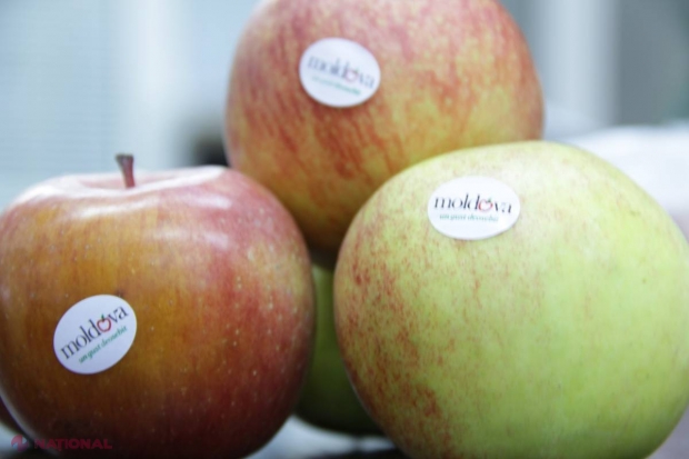 Rusia a INTERZIS importul a peste 20 de tone de mere moldovenești care au fost transportate până la Kursk
