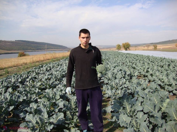 Milioanele UE pentru afacerile moldovenilor. Un tânăr crește brocoli și conopidă la Ialoveni