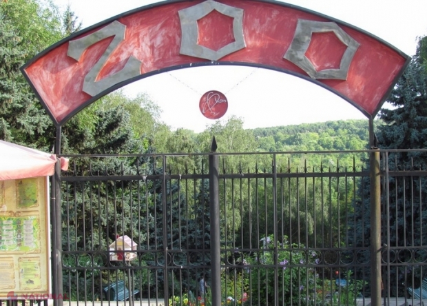 ANUNȚ: Grădina Zoologică din Chișinău, ÎNCHISĂ