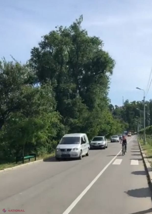 VIDEO // NESIMȚIRE: Cu mașinile, prin PARCUL „Valea Morilor”, unde acest lucru este INTERZIS