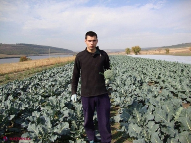 Veste BUNĂ pentru tinerii din R. Moldova care vor să inițieze afaceri în agricultură: Vor primi în AVANS subvenții de la stat