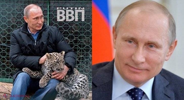 FOTO // Vladimir Putin a pozat pentru un nou calendar: Călăreşte motociclete, se bate cu nişte campioni la judo şi mângâie leoparzi