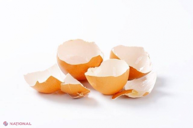 UTIL // Metode ca să folosești cojile de ouă în grădina ta. Nu le arunca!