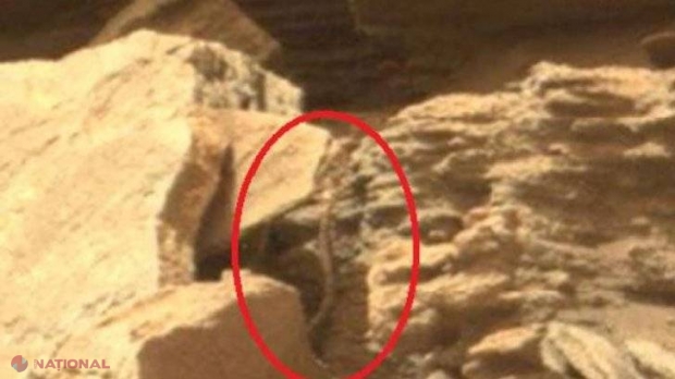 „NASA ascunde adevărul!” Ce caută un ȘARPE într-o fotografie de pe planeta Marte?