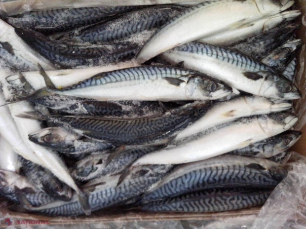 Jumătate de tonă de peşte cu termenul expirat, pus în VÂNZARE în Chişinău