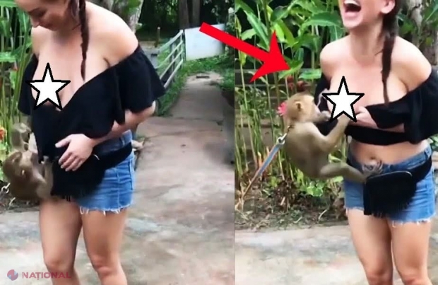 VIDEO // O maimuță obraznică i-a tras bluza de pe sâni unei turiste. Acum imaginile sunt virale