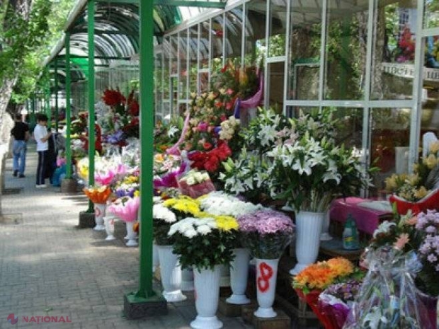 După artiștii care cântă la nunți, FISCUL a pus ochii pe cei care vând flori: Operațiune pe tot teritoriul R. Moldova
