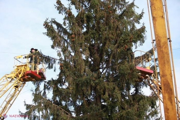 FOTO // Cum va arăta Pomul de Crăciun din centrul capitalei: „O să fie o SURPRIZĂ pentru toată lumea”