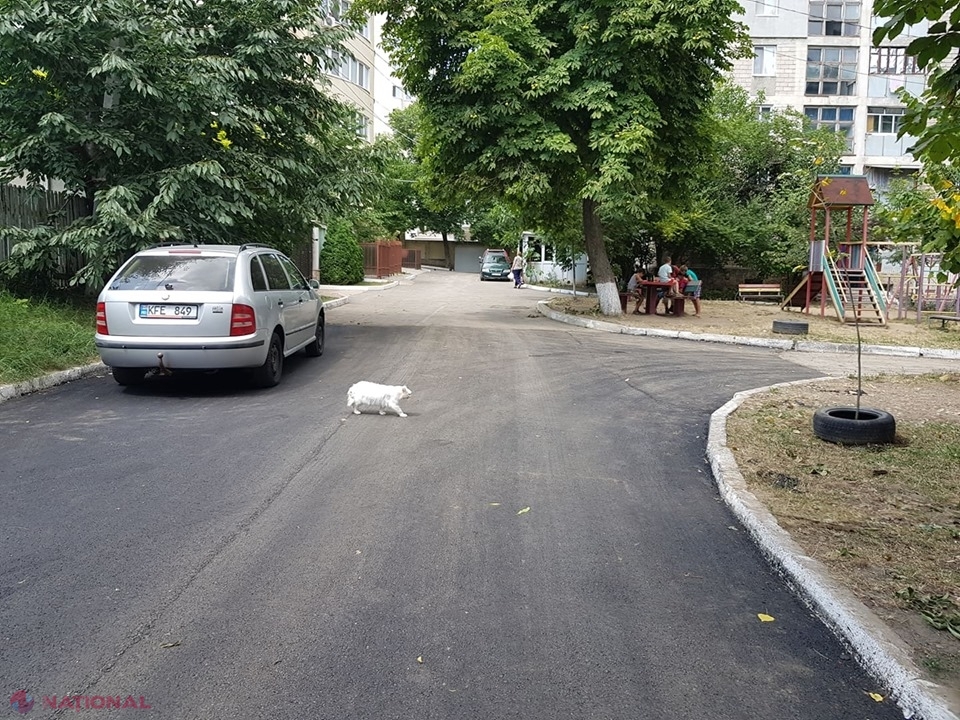 Foto Primăria Chișinău A Asflat Integral Strada Unde Are Casă
