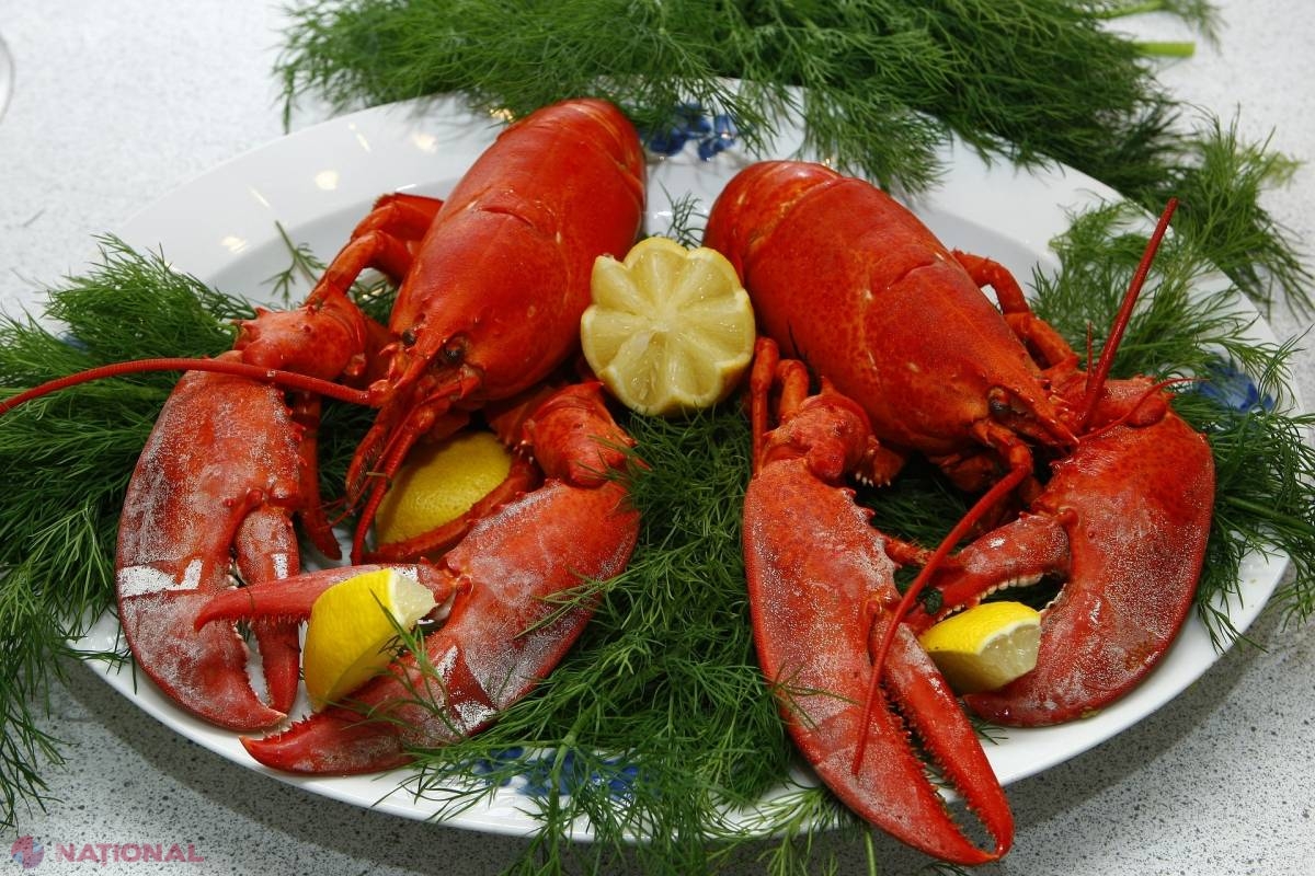 crustacee de vedere