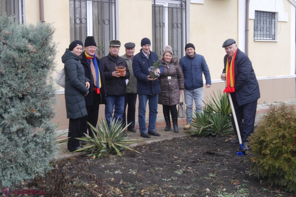 GALERIE FOTO // Primii BRĂDUȚI ai REÎNTREGIRII, plantați în câteva localități din R. Moldova: Pomii au fost aduși din România
