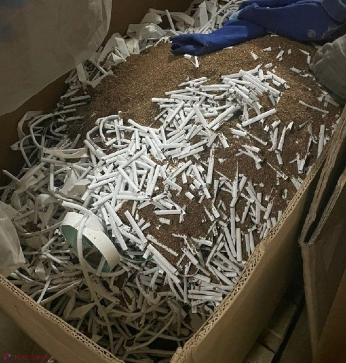 VIDEO // Percheziții de amploare la o fabrică clandestină de țigări din Rezina. În depozite au fost depistate MILIOANE de țigări fără documente de proveniență, timbre de acciză false și materie primă de peste 5 000 000 de lei