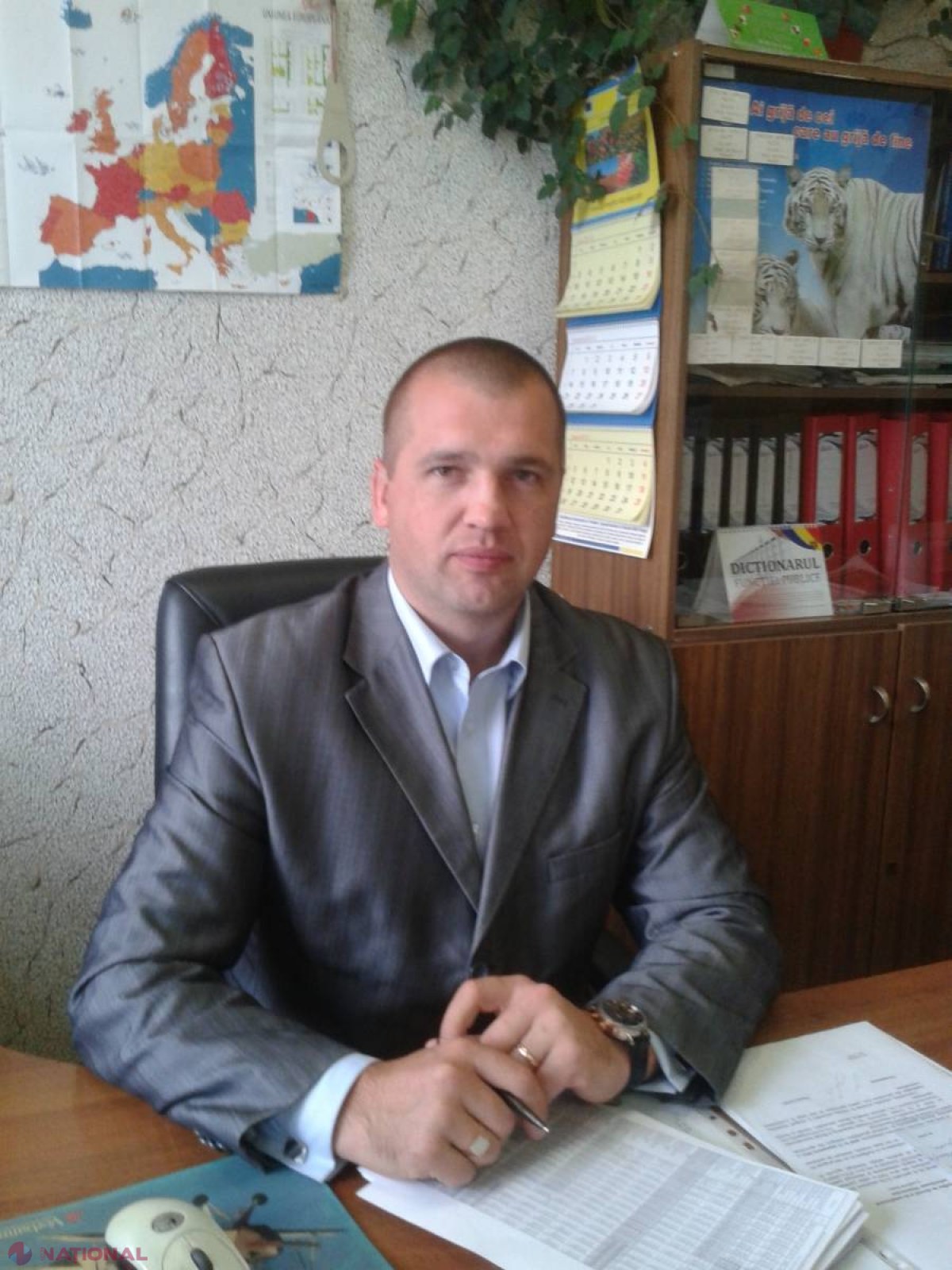 Prețuri de două ori mai mici la prune în acest an! MAIA spune că nu poate interveni 