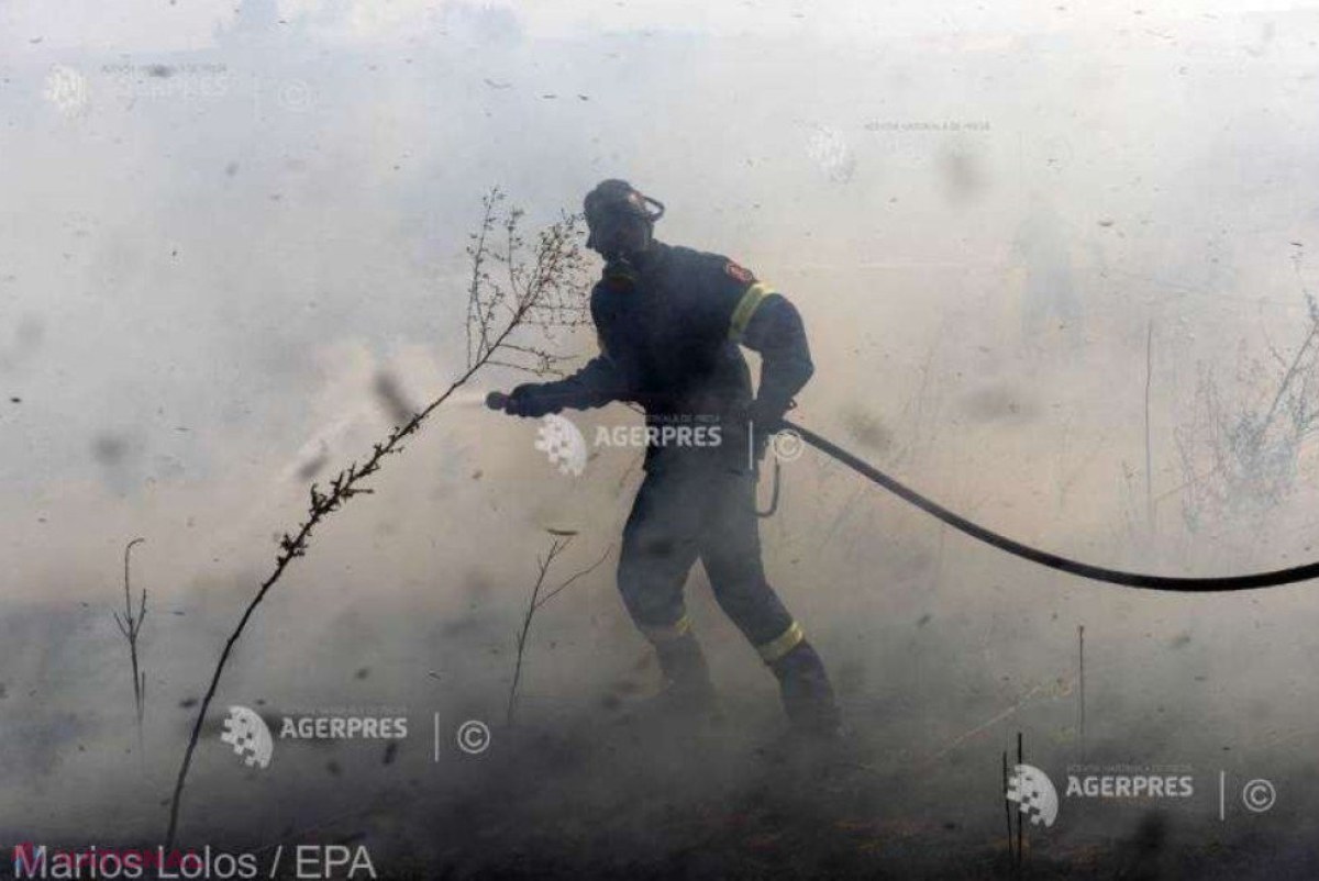 Închisoare preventivă pentru un bărbat care a provocat trei incendii de pădure în Grecia 