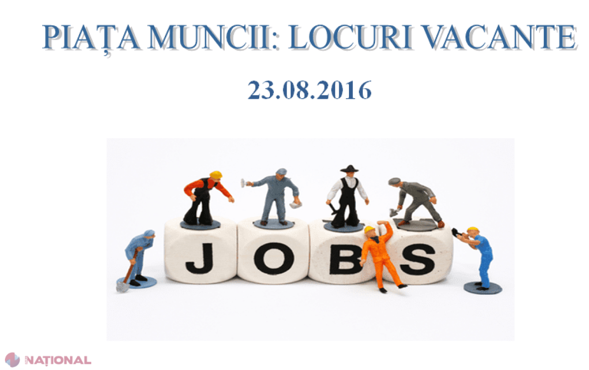 Numărul locurilor de muncă VACANTE, în CREȘTERE. Ce profesii sunt cele mai căutate acum în R. Moldova