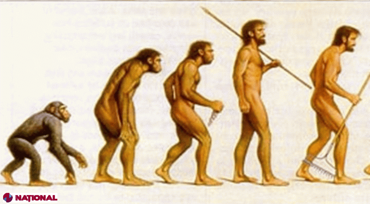 VIDEO // Descoperirea care CONTRAZICE tot ce ştiam despre originea noastră