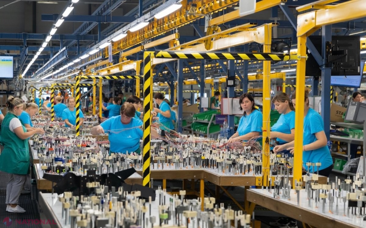 Peste 8 000 de persoane, plasate în câmpul muncii de către ANOFM, de la începutul anului