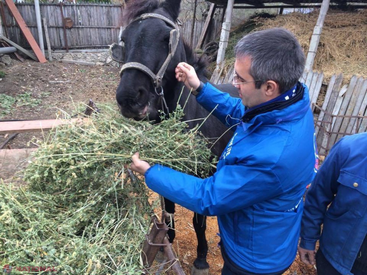 Un deputat PD numără banii cheltuiți pentru a aduna cele 405 mii de semnături în favoarea referendumului și solicită ANCHETĂ