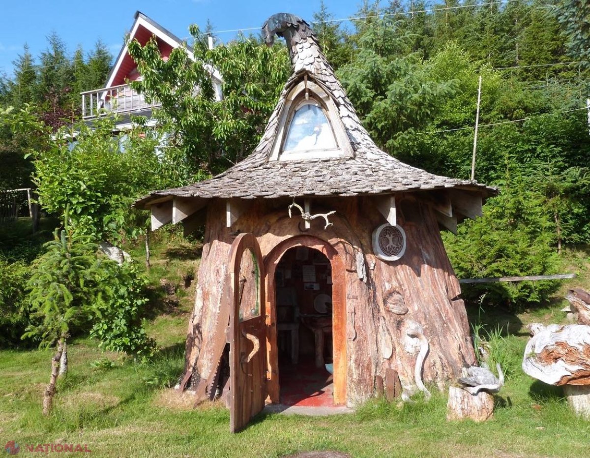 FOTO // Adorabila colibă, SCULPTATĂ dintr-un ciot de pom conifer
