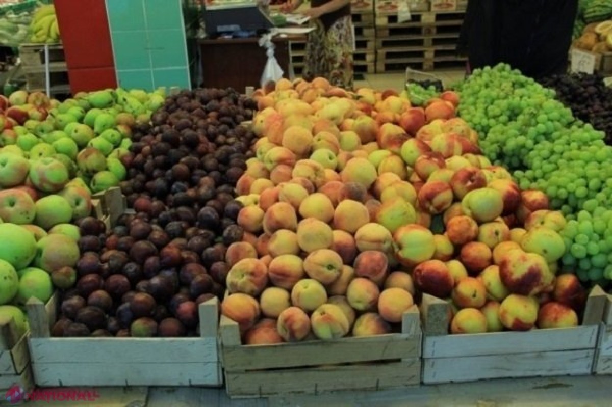 EXPORT // Aproape 70% din produsele din R. Moldova ajung pe piața UE: Numai în România exportăm de DOUĂ ori mai mult decât în întreg spațiul CSI