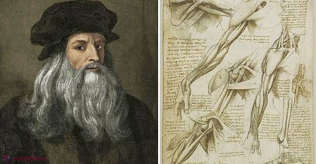 Incredibilul de EFICIENT program de somn al lui Leonardo da Vinci! Îți asigură o EFICIENȚĂ maximă de lucru!