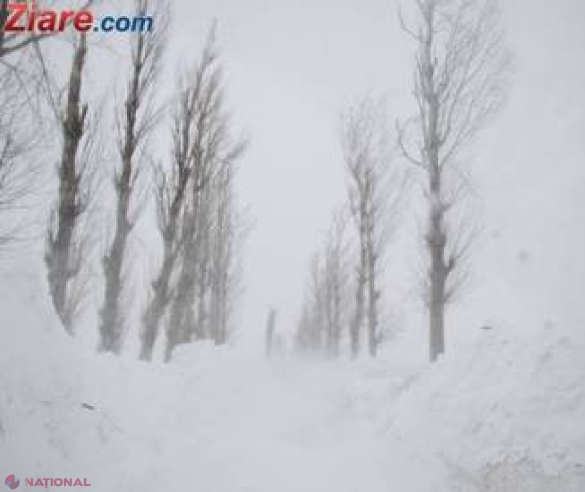 Povestea fericită a fetiţei cu chibrituri din Siberia, care a mers kilometri întregi prin ger şi printre lupi pentru a-şi ajuta bunica 