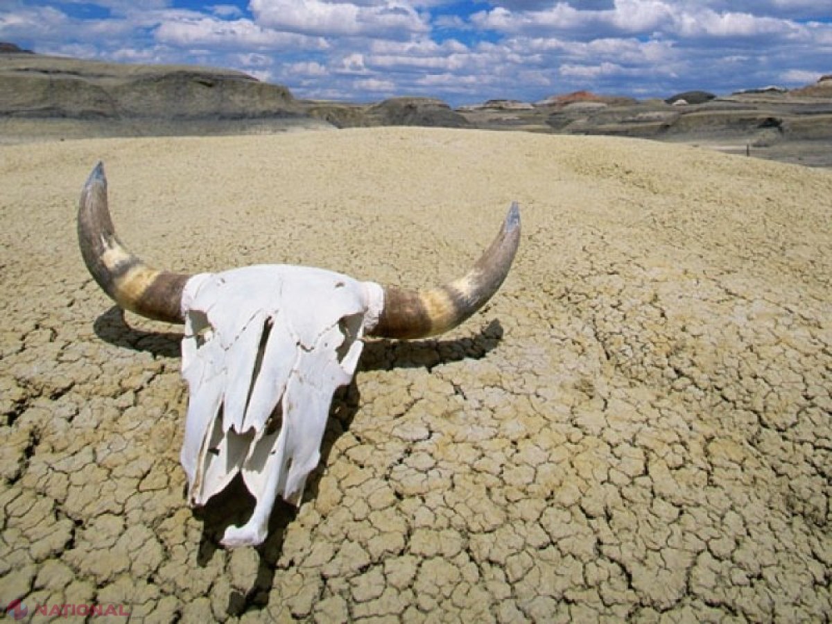 Planeta se sufocă: În Valea Morţii, cel mai fierbinte loc de pe glob, sunt 53°C, Europa şi China se topesc şi ele. Cea mai fierbinte lună iulie din ultimii 120 000 de ani