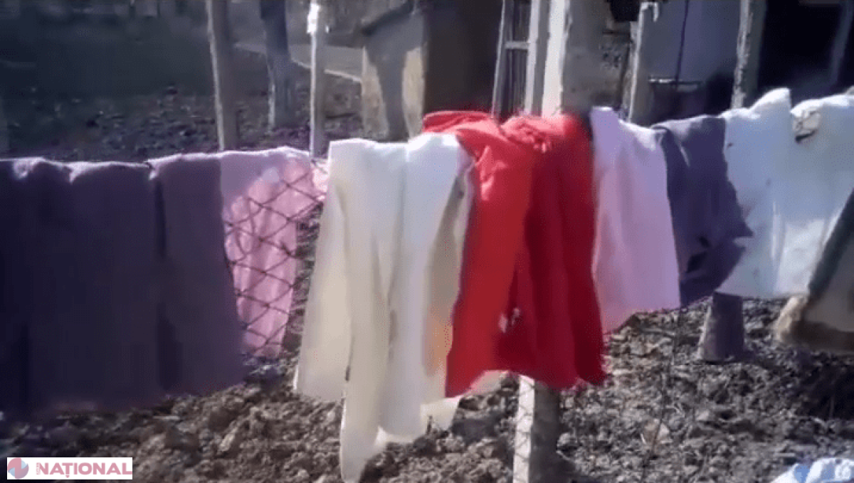 S-au născut la Hâncești, trăiau în Criuleni, dar furau în Chișinău: Pagube considerabile