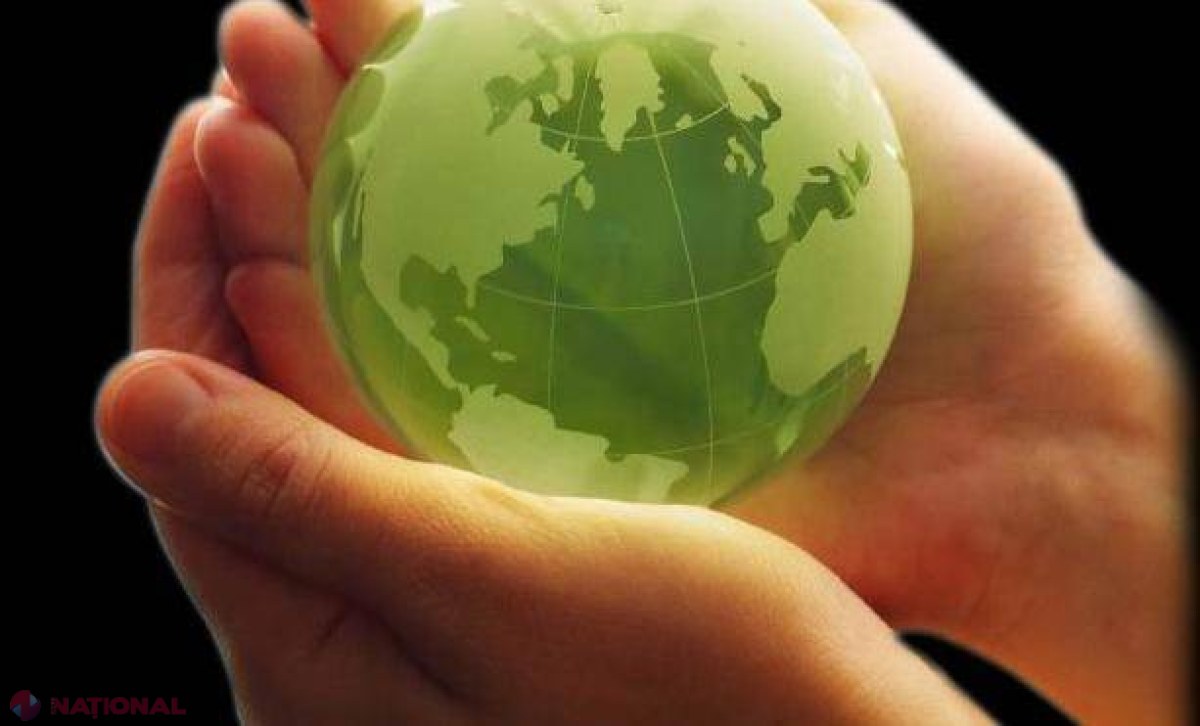 Noul obiectiv al Guvernului! Autoritățile vor fi obligate să cumpere produse și servicii ecologice