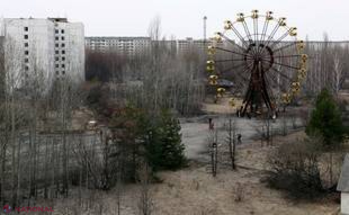 Ce au găsit oamenii de ştiinţă în copacii de la Cernobîl, la 27 de ani de la accidentul nuclear 