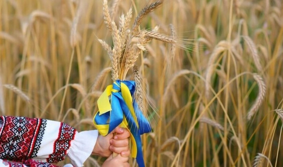 Statele vecine Ucrainei ar putea prelungi embargoul care vizează importurile de cerealele ucrainene