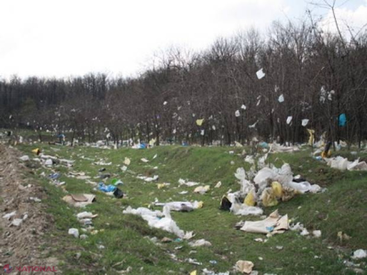 Pungile de plastic de unică folosinţă vor fi INTERZISE din 2016 