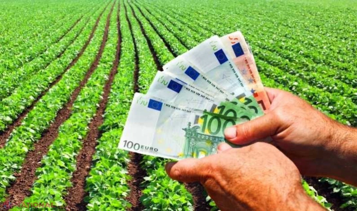 Fonduri europene pentru afaceri 2020: Câte 50 000 de euro pentru tinerii fermieri români