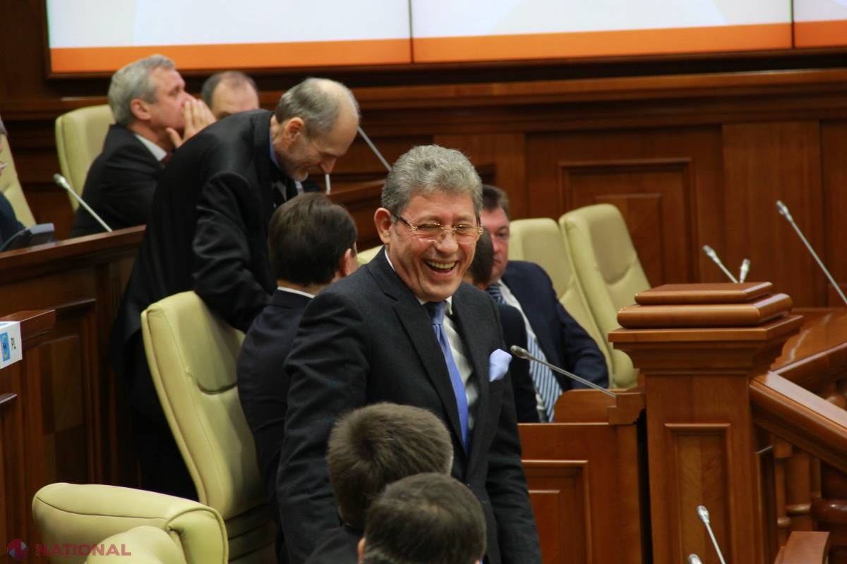 Perle de la vârf // Ori cobori din copac, ori rămâi fără cașcaval!