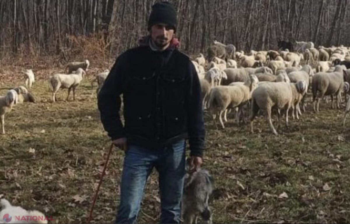 Cât câștigă un tânăr de 22 de ani care a abandonat liceul și s-a făcut CIOBAN. „Am visat mereu la viața pe care o trăiesc acum”  