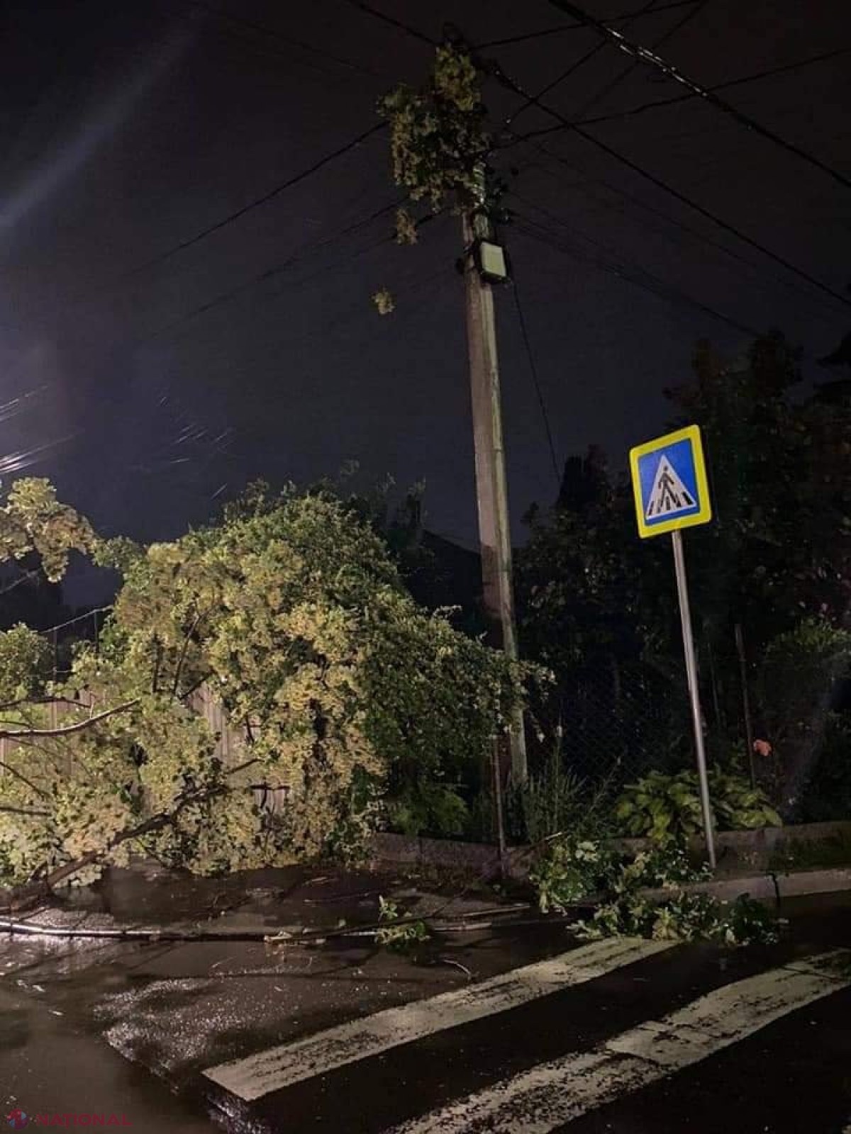 GALERIE FOTO // Furtuna de noaptea trecută a făcut ravagii în Chișinău - mai mulți copaci au fost rupți sau SMULȘI din rădăcină, mașini avariate, garduri doborâte și fire electrice căzute la pământ