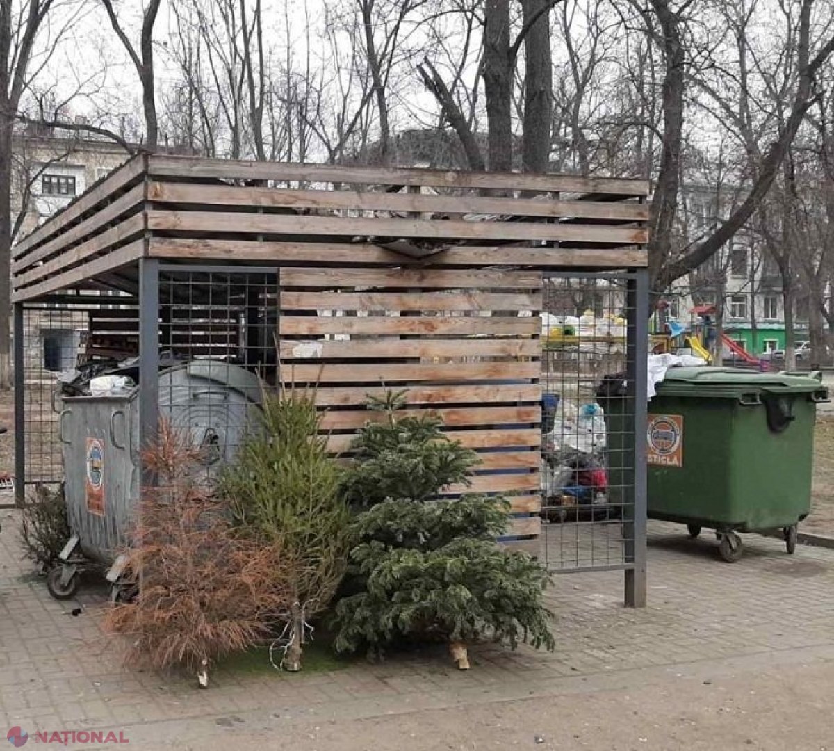 Ce faceți cu brazii care v-au decorat casele de sărbători? Autoritățile din Chișinău vă spun unde să-i depozitați pentru a putea fi reciclați