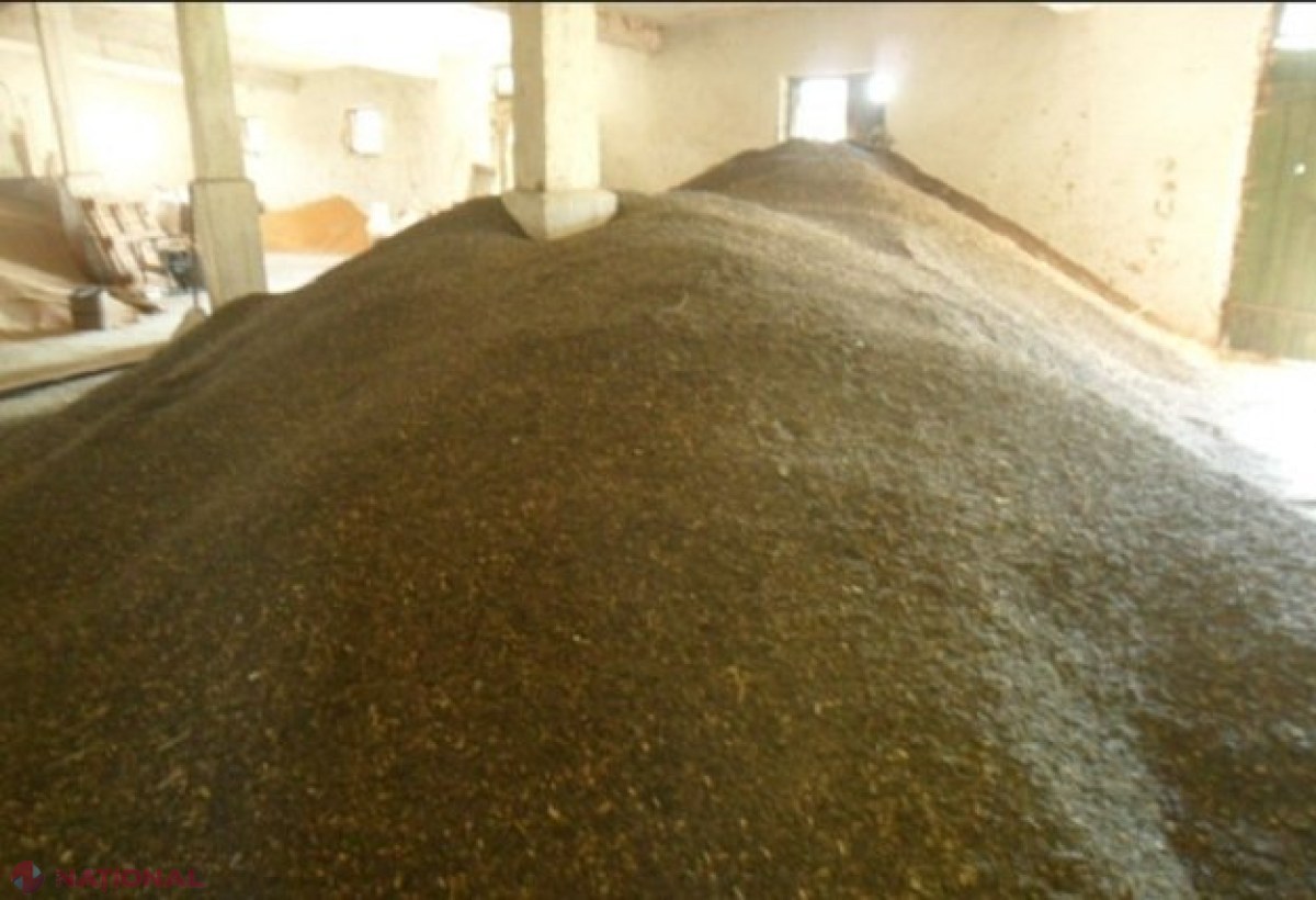 Pesticidul care a UCIS doi copii la Cantemir, investigat de autorități: „Vor fi luate măsuri de prevenire pentru utilizarea acestui preparat periculos”