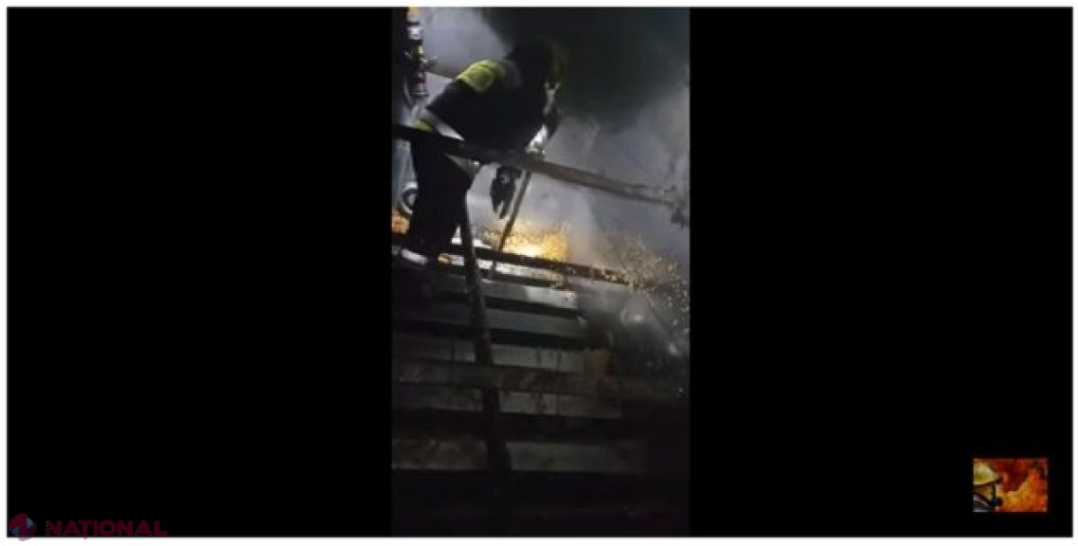 VIDEO // PAGUBĂ la Leova: 50 de tone de PORUMB, aruncate la gunoi 