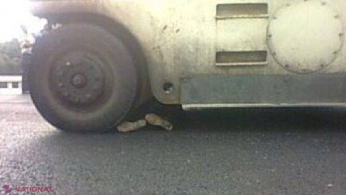 A murit strivit de mașina pe care o repara
