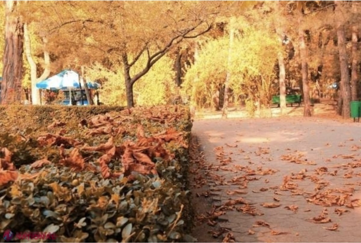 METEO // Temperaturi negative pe timpul nopții, în nordul R. Moldova: Cum va fi vremea în această săptămână